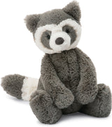 Bashful Raccoon