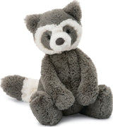 Bashful Raccoon