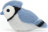 Birdling Blue Jay