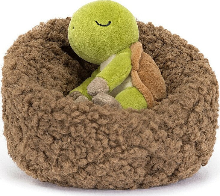 Hibernating Tortoise
