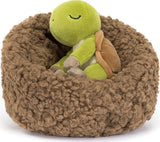 Hibernating Tortoise