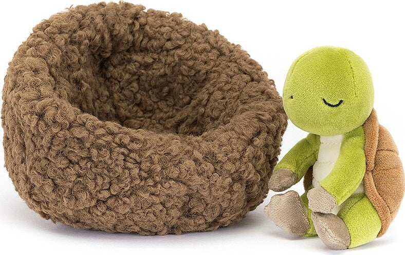 Hibernating Tortoise