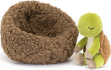 Hibernating Tortoise