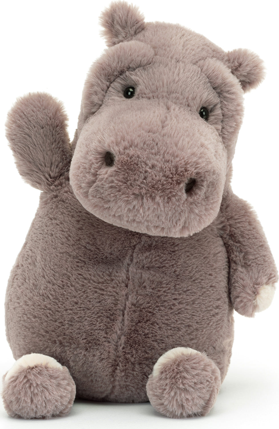 Myrtle Hippopotamus