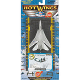 Hot Wings F-14 Tomcat