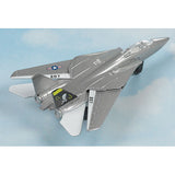 Hot Wings F-14 Tomcat