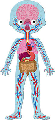 Educational Puzzle-human Body-50,75,100 Pcs