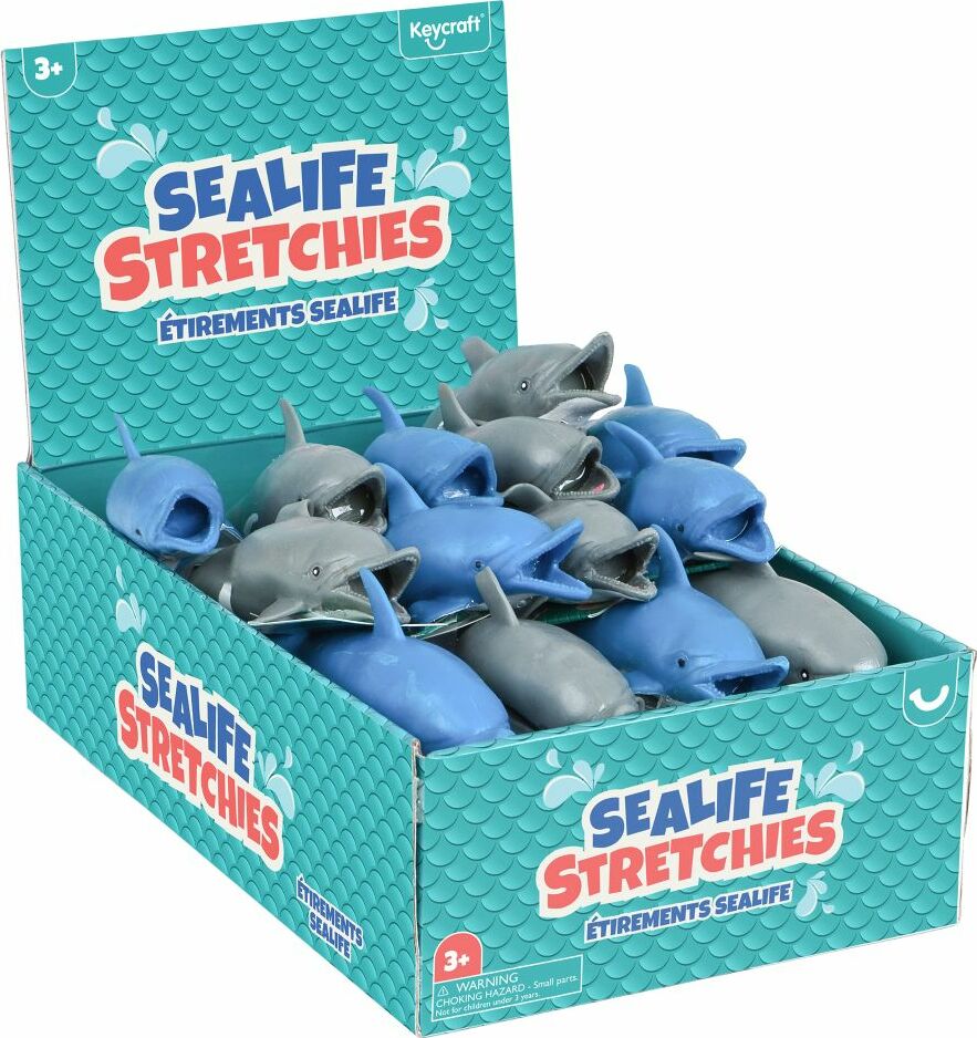 Stretchy Dolphin