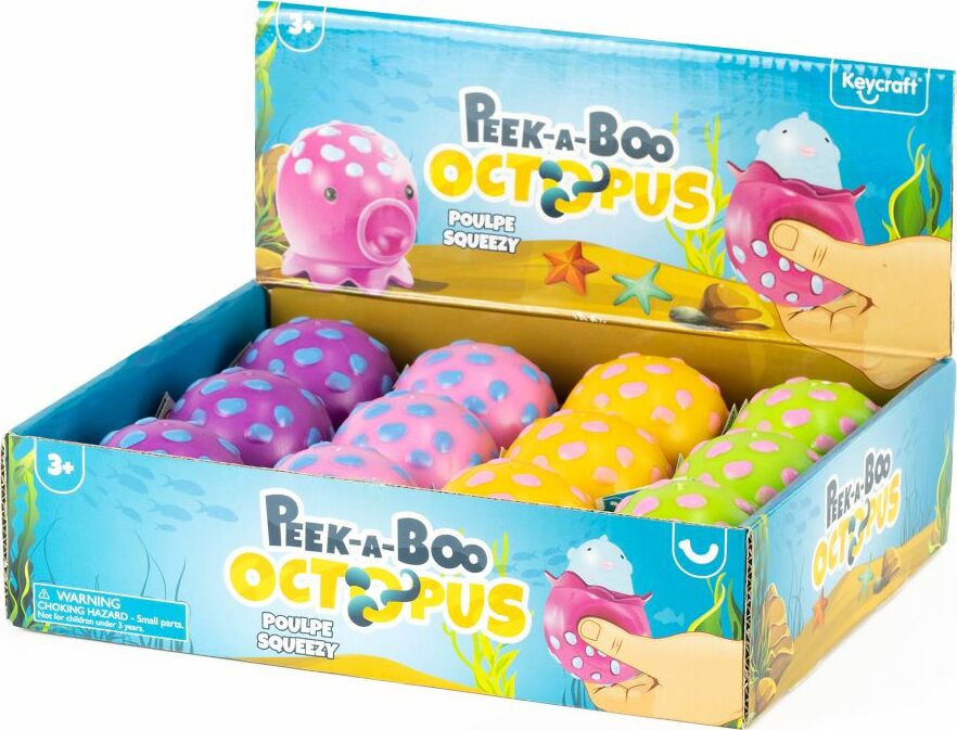 Peek a Boo Octopus – Givens Books & Little Dickens