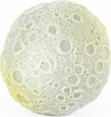 Light Up Moon Balls