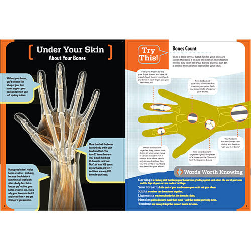 the hand book