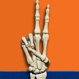 the hand book