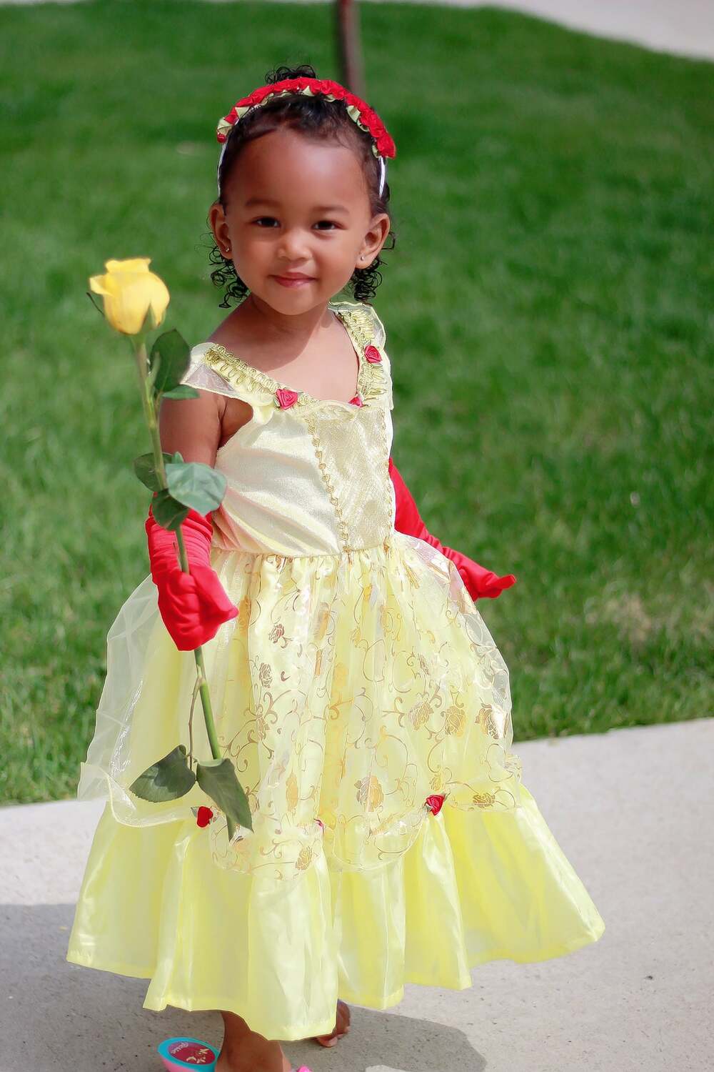 Yellow Beauty - 3-5 Years (M)