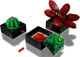 Succulents