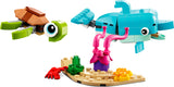 Dolphin and Turtle