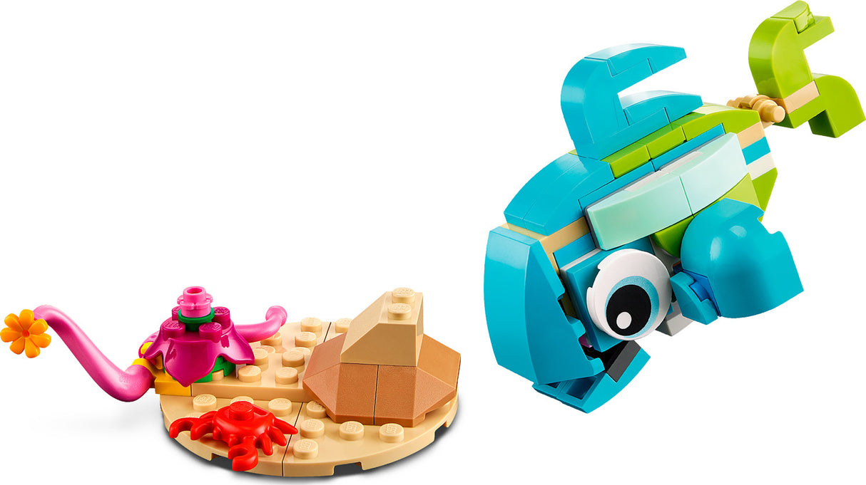 Dolphin and Turtle