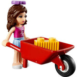 LEGO Olivia's Newborn Foal