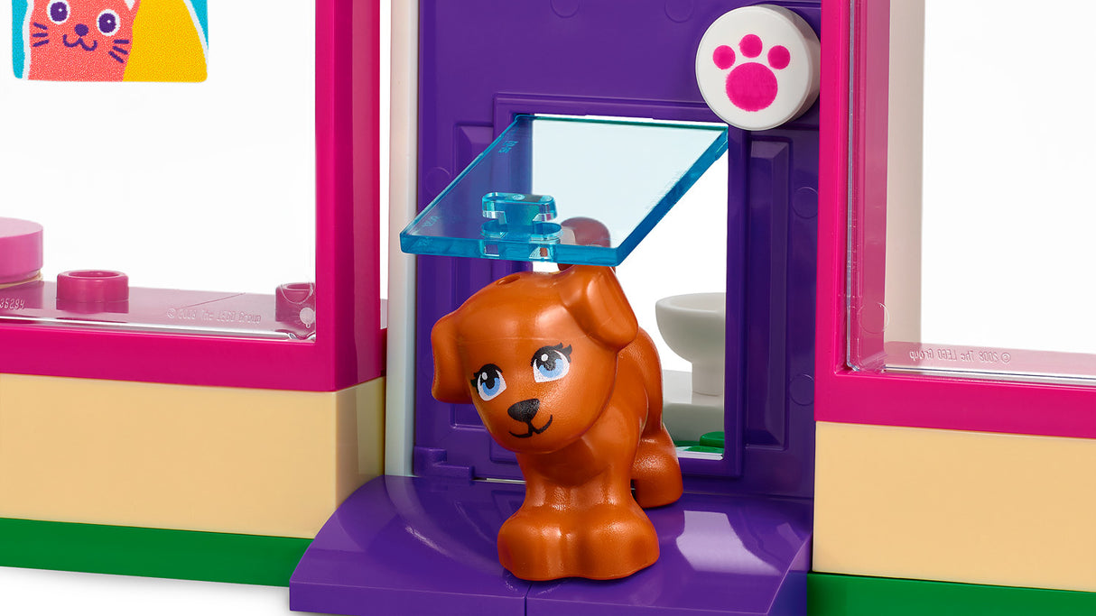Pet Adoption Café