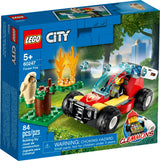 Forest Fire