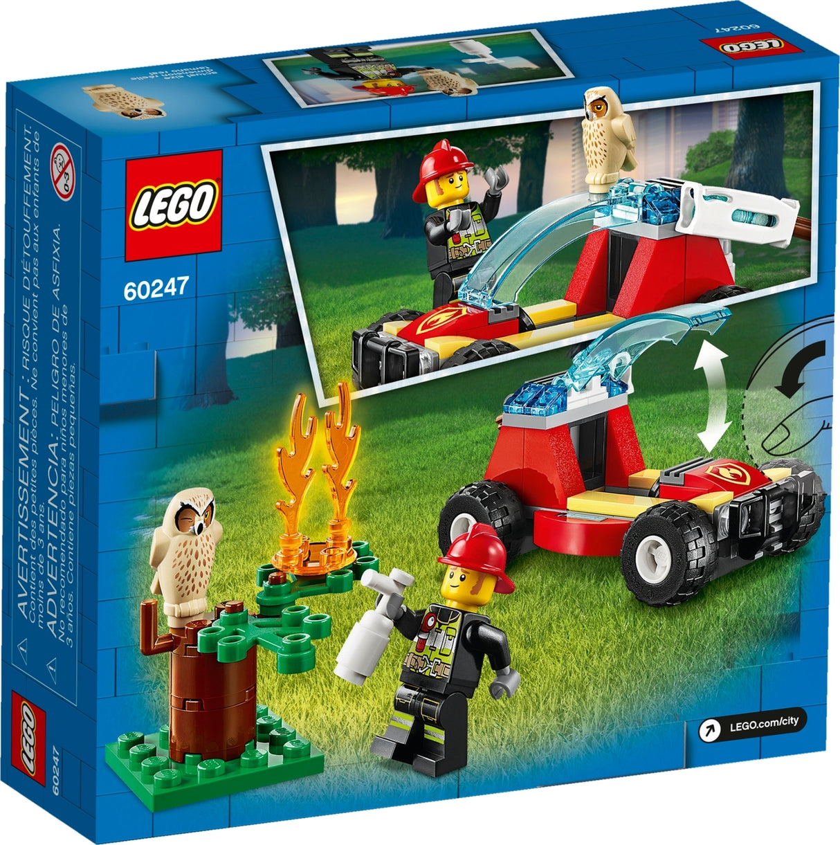 Forest Fire