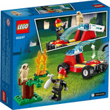 Forest Fire