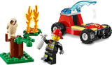 Forest Fire