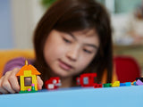 11001 Bricks And Ideas Classic