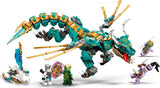 Jungle Dragon