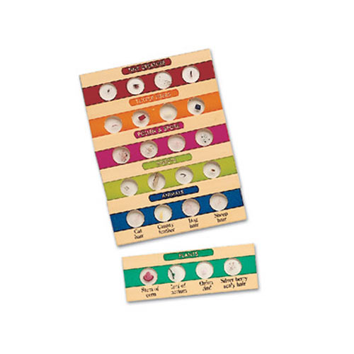 Prepared Slides Set 1 (24 Specimens)