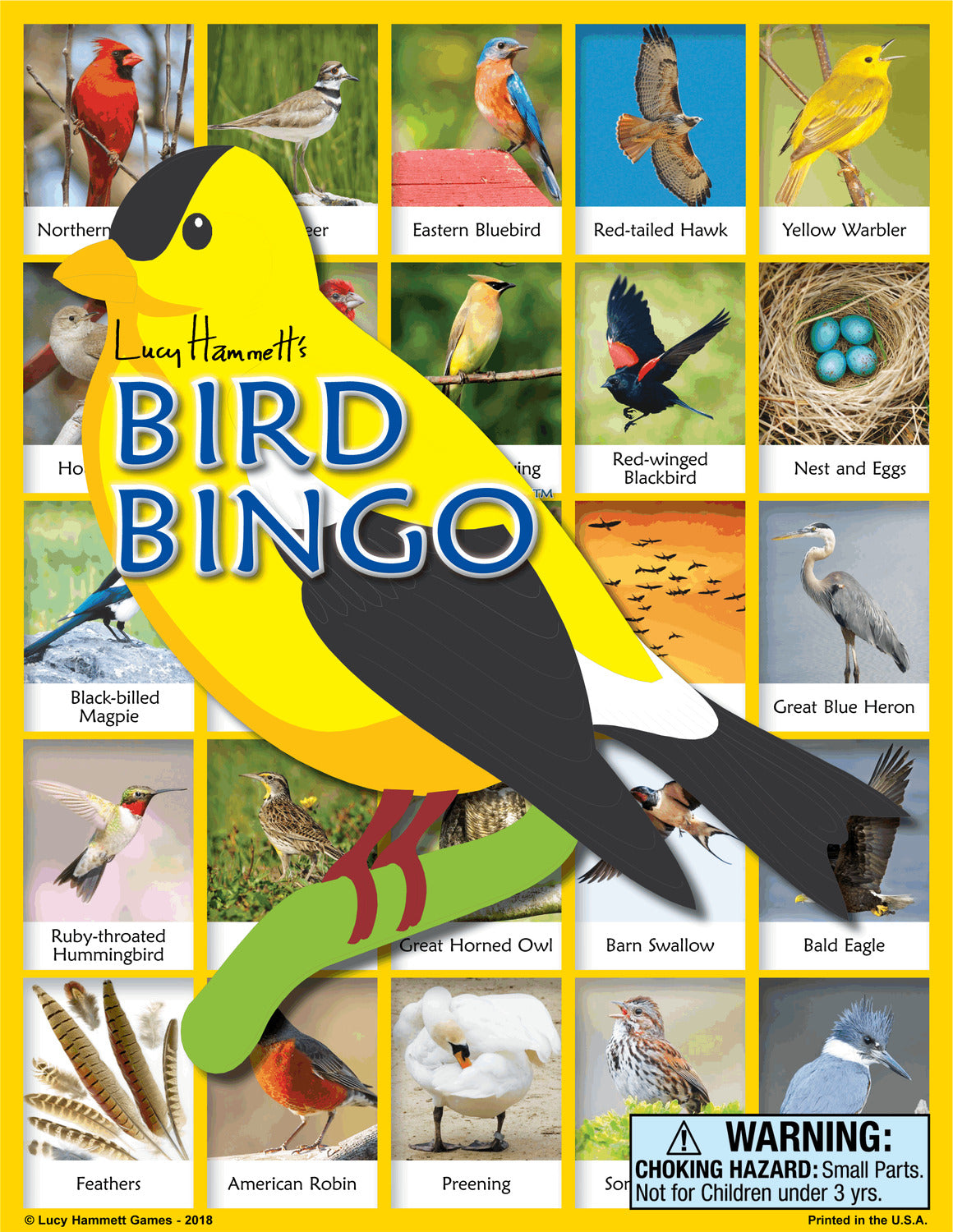 Bird Bingo