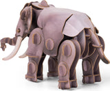 Voices of Nature Asian Elephant