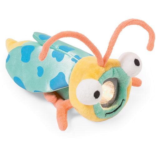 Lightning Bugs Beetle