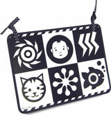 double feature mirror