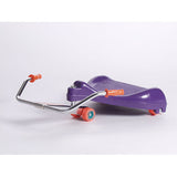 flying turtle purple