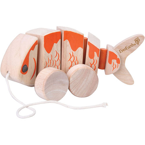 Pull Along Koi (fish)