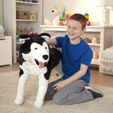 Husky - Plush