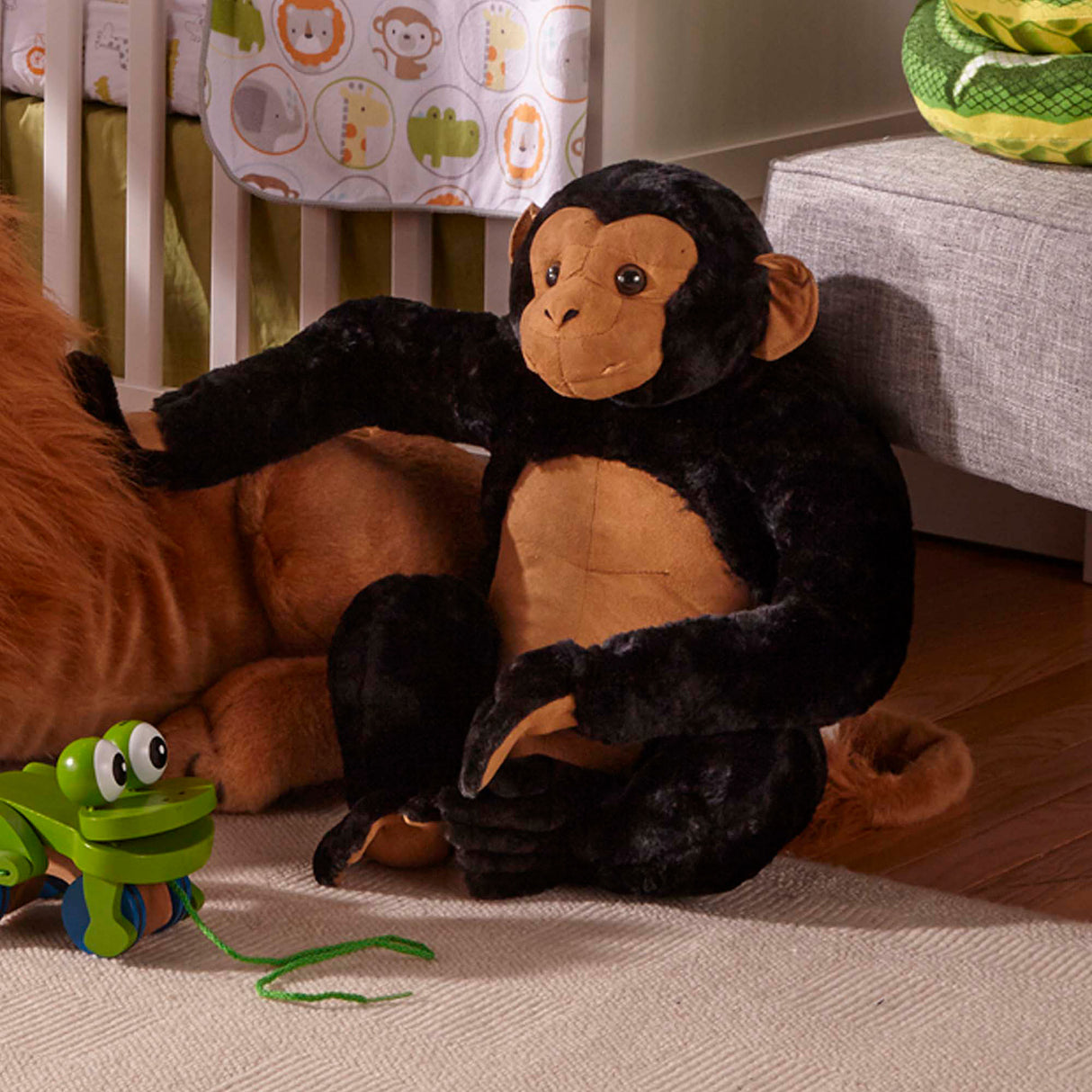 Chimpanzee