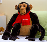 Chimpanzee