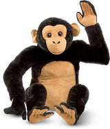 Chimpanzee