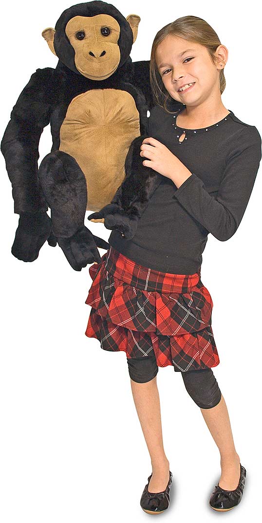 Chimpanzee