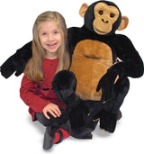 Chimpanzee