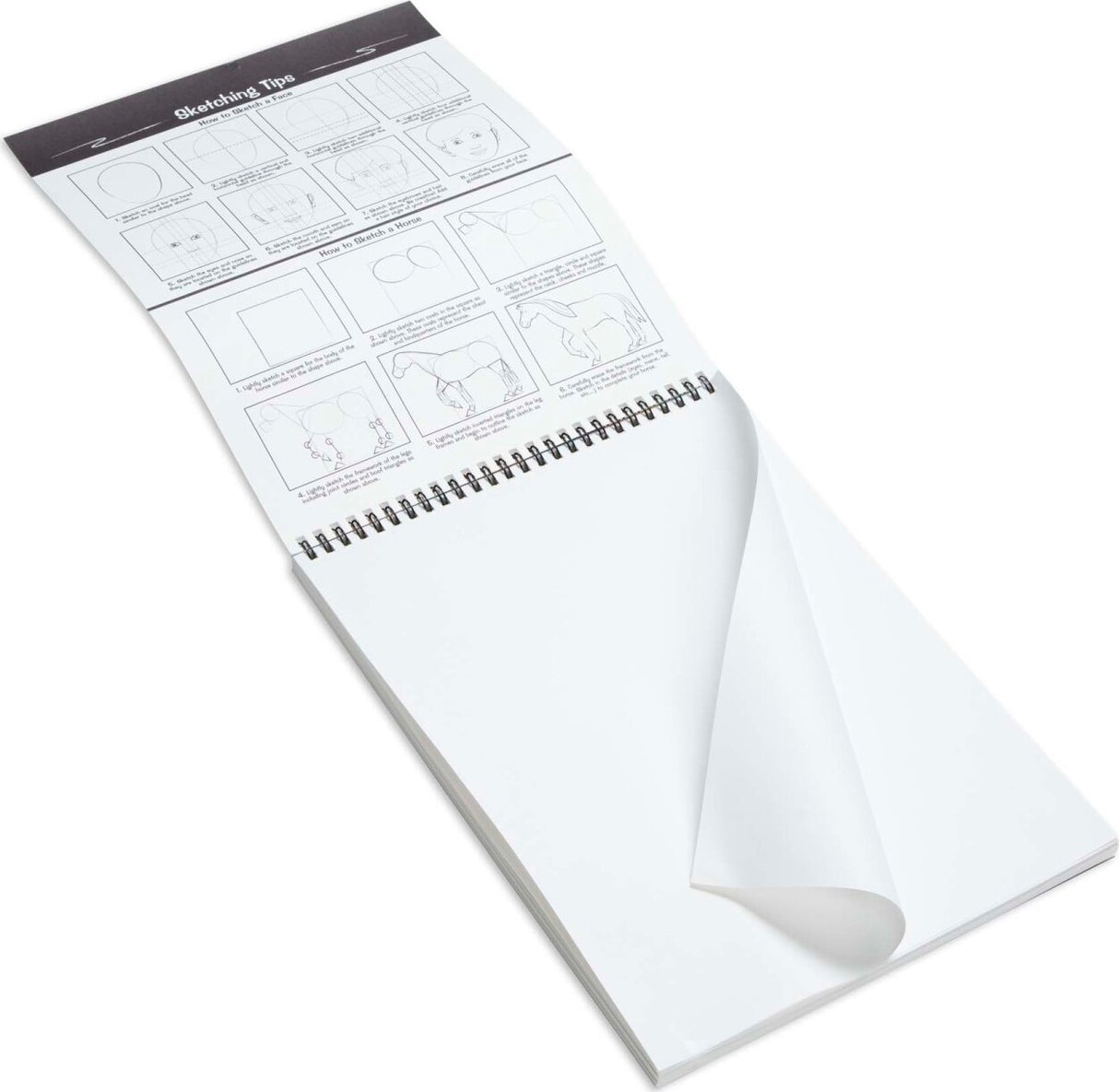 Sketch Pad