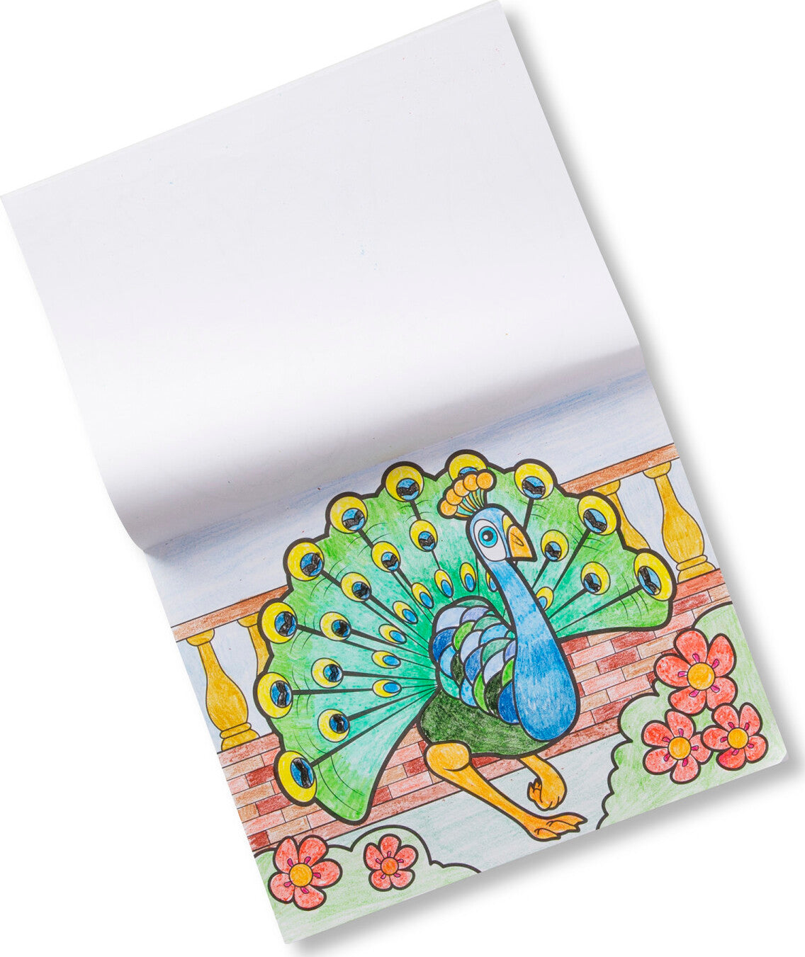 Jumbo Coloring Pad - Animal