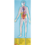 human body floor puzzle