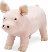 Pig