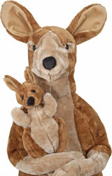 Kangaroo and Joey