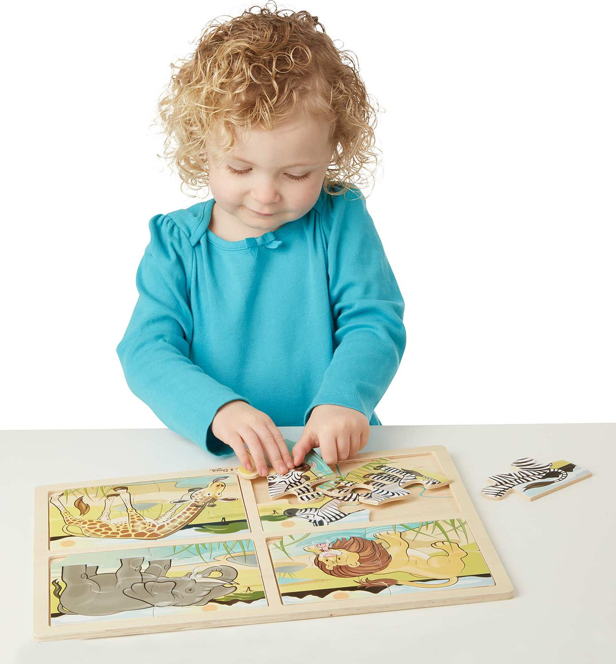 4-in-1 Safari