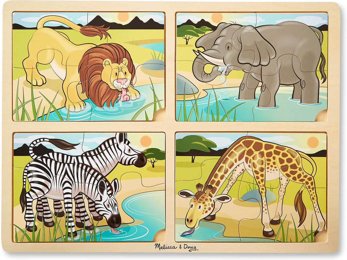 4-in-1 Safari