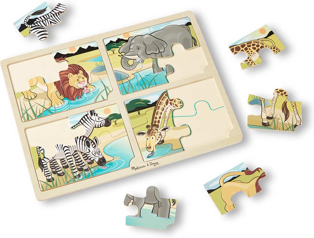 4-in-1 Safari