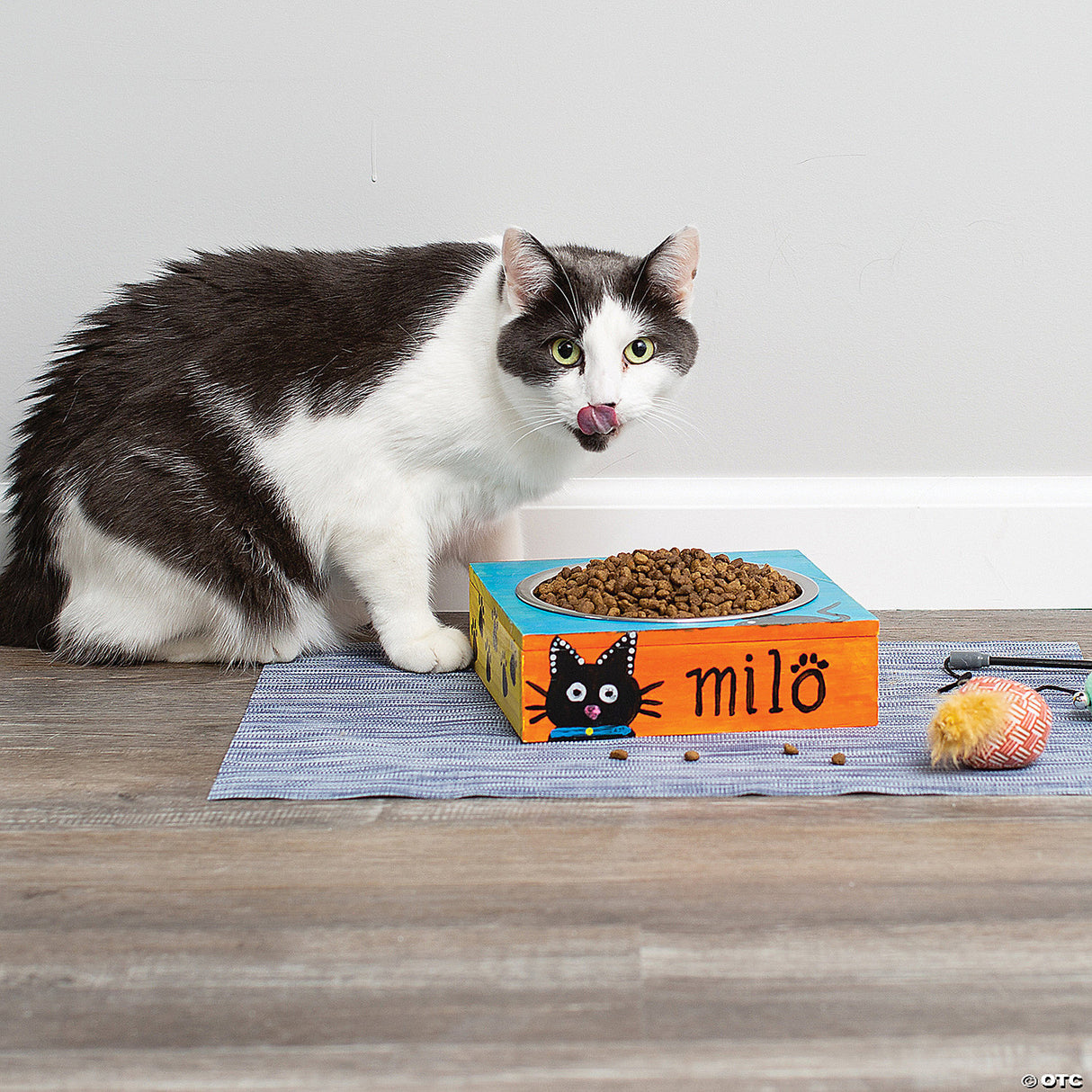 Make Your Own Pet Dish